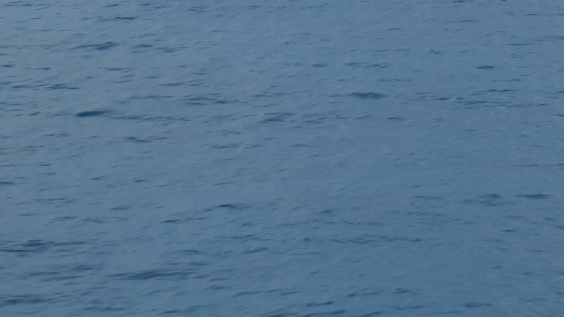 2022-11-08 06 Uhr 12 das Meer (Video)